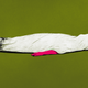 Image for article titled Can You Overdose on Weed?